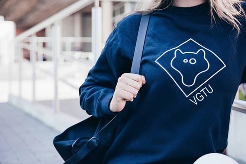 Image with missing alt attribute found on vgtu.lt