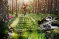 Sagolandet Tomteland