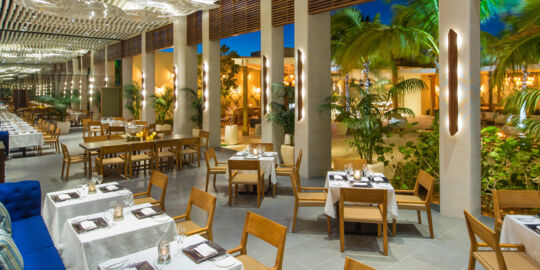 Image with missing alt attribute found on visittci.com