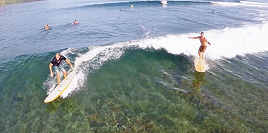 Image with missing alt attribute found on vistana.com