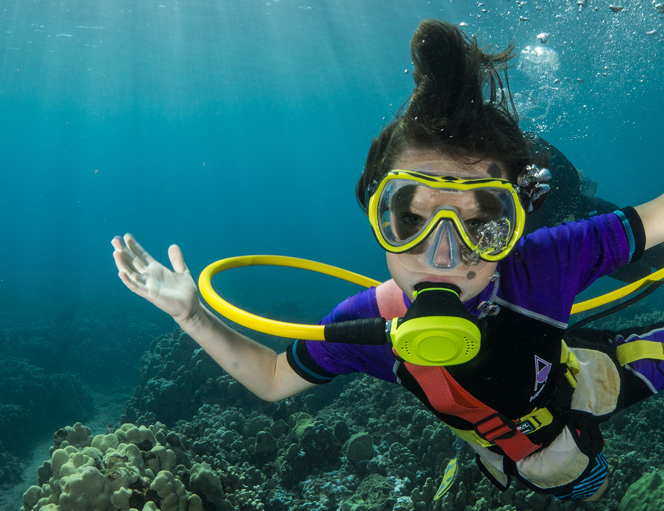 Image with missing alt attribute found on vistana.com