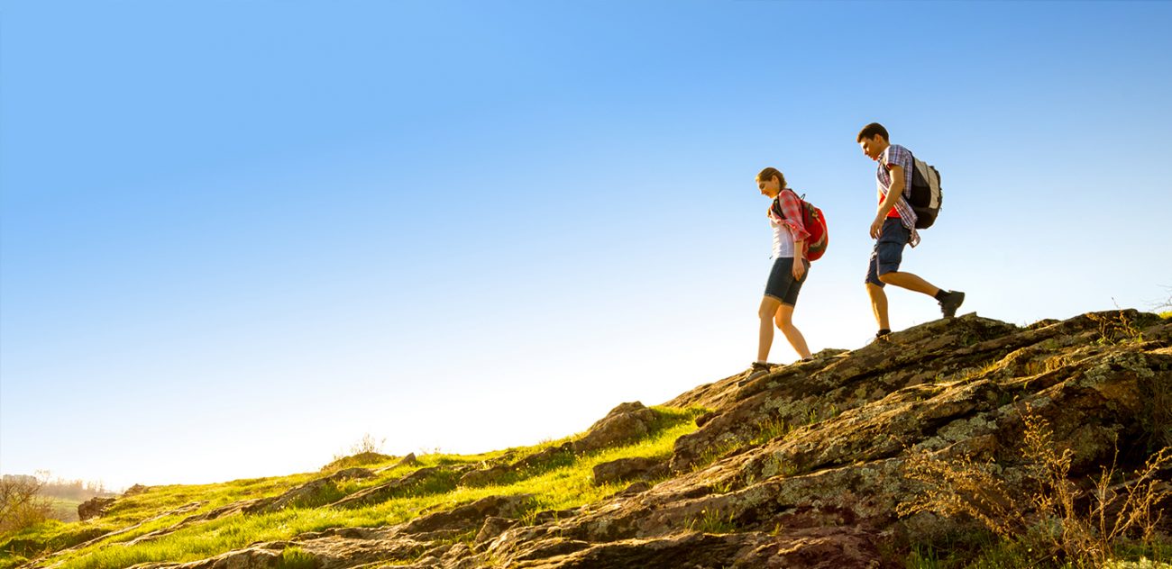 Image with missing alt attribute found on vistana.com