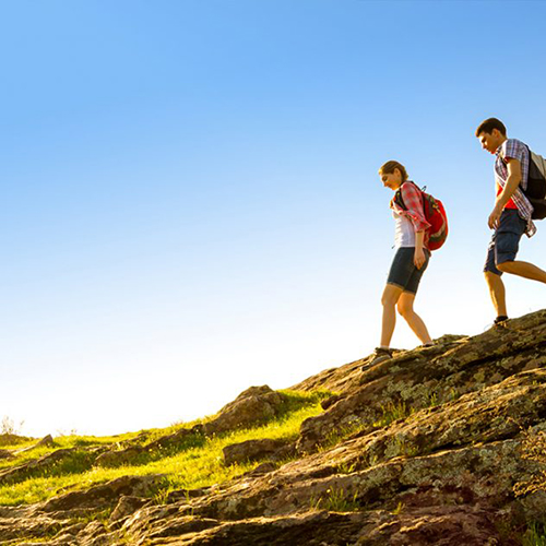 Image with missing alt attribute found on vistana.com