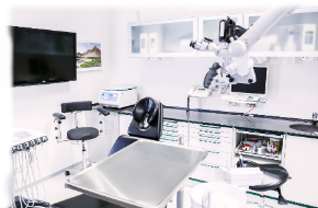 Image with missing alt attribute found on vitalisto.de