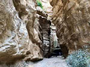 Rendonn&eacute;e Au Canion De TAFRAOUI &middot; Organis&eacute; par Hiking club tlemcen