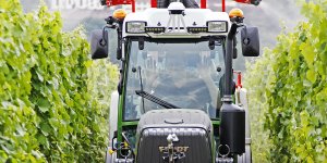 Image with missing alt attribute found on vitisphere.com