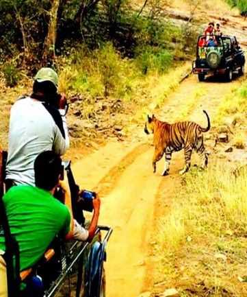 Image with missing alt attribute found on vivaindia.com