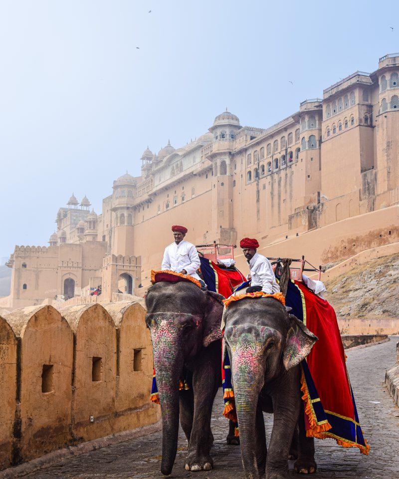 Image with missing alt attribute found on vivaindia.com