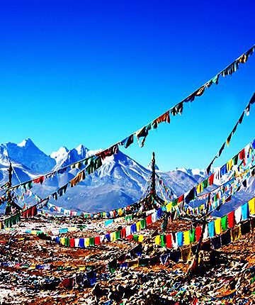 Image with missing alt attribute found on vivaindia.com