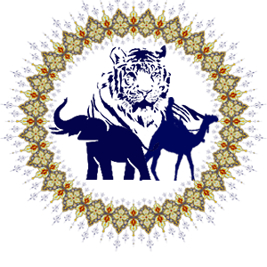 Image with missing alt attribute found on vivaindia.com