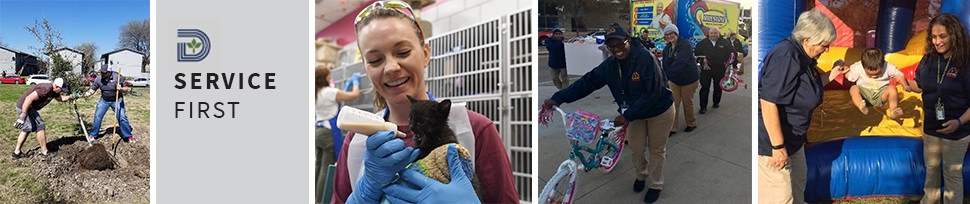 Image with missing alt attribute found on voly.org