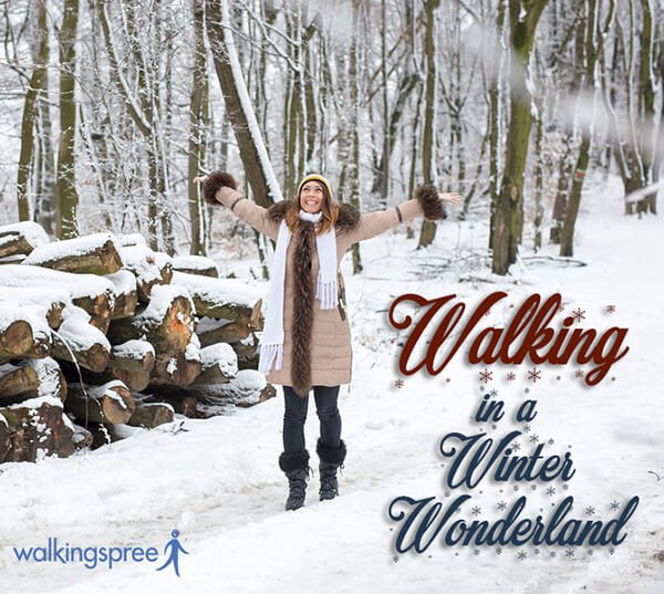 Image with missing alt attribute found on walkingspree.com