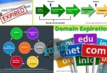 domain expiration