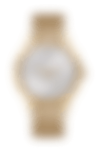 Image with missing alt attribute found on watchgang.com