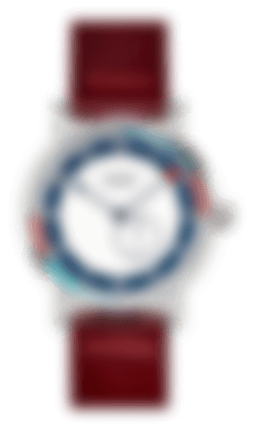 Image with missing alt attribute found on watchgang.com