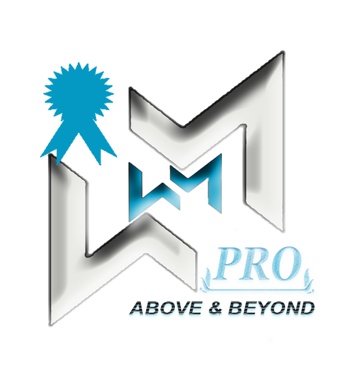 Image with missing alt attribute found on webmaticspro.com