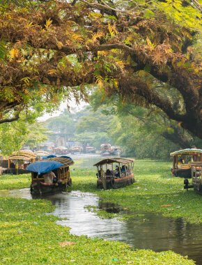 Image with missing alt attribute found on wegomap.com