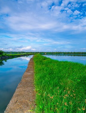 Image with missing alt attribute found on wegomap.com