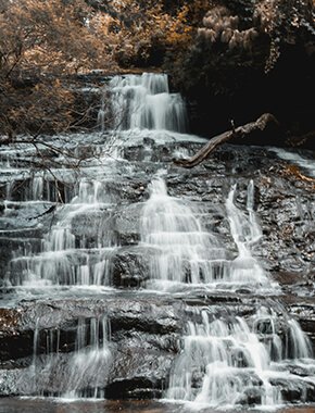 Image with missing alt attribute found on wegomap.com