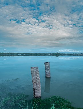 Image with missing alt attribute found on wegomap.com