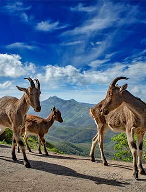 Image with missing alt attribute found on wegomap.com