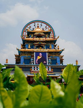 Image with missing alt attribute found on wegomap.com