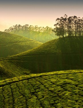 Image with missing alt attribute found on wegomap.com