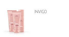 Image with missing alt attribute found on wella.com