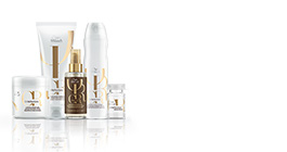 Image with missing alt attribute found on wella.com