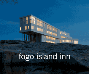 Image with missing alt attribute found on wendyperrin.com