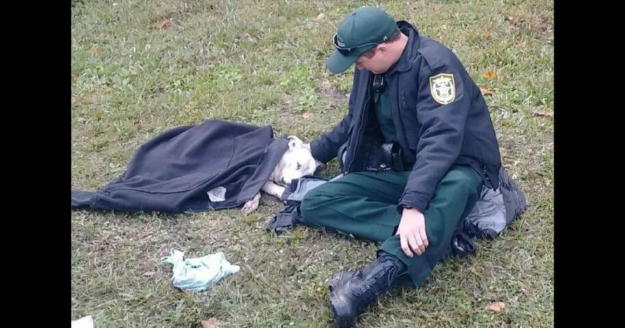 Image with missing alt attribute found on westernjournalism.com