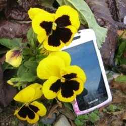 Image with missing alt attribute found on whatandroidis.com