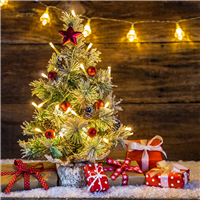 Image with missing alt attribute found on wholesalesuppliesplus.com