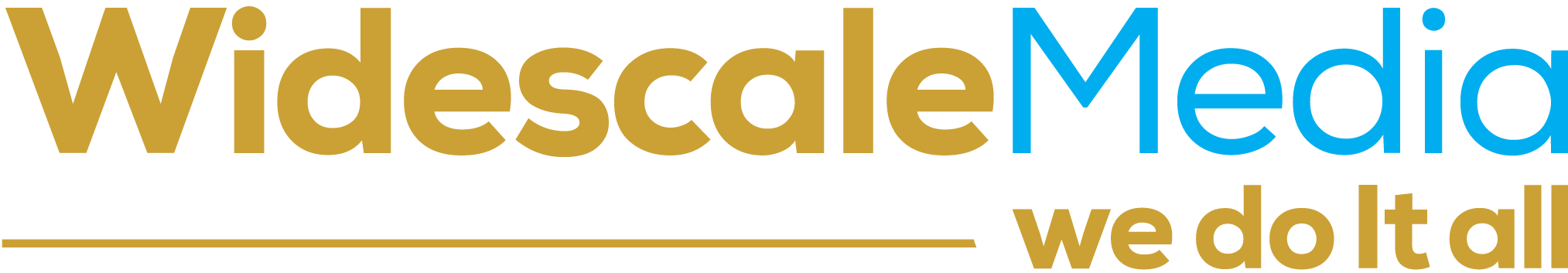 Image with missing alt attribute found on widescale.com