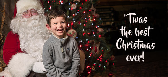 Image with missing alt attribute found on wildernessresort.com