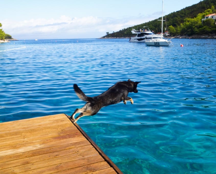 Image with missing alt attribute found on willenskraft.co.at