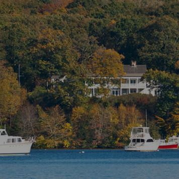 Image with missing alt attribute found on williampitt.com