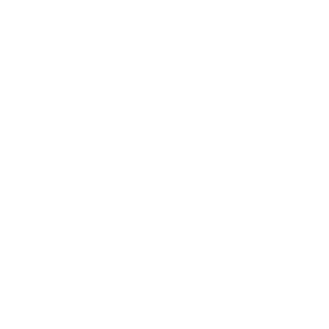 Image with missing alt attribute found on workingtransitions.com