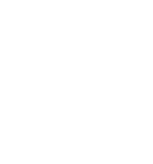 Image with missing alt attribute found on workingtransitions.com