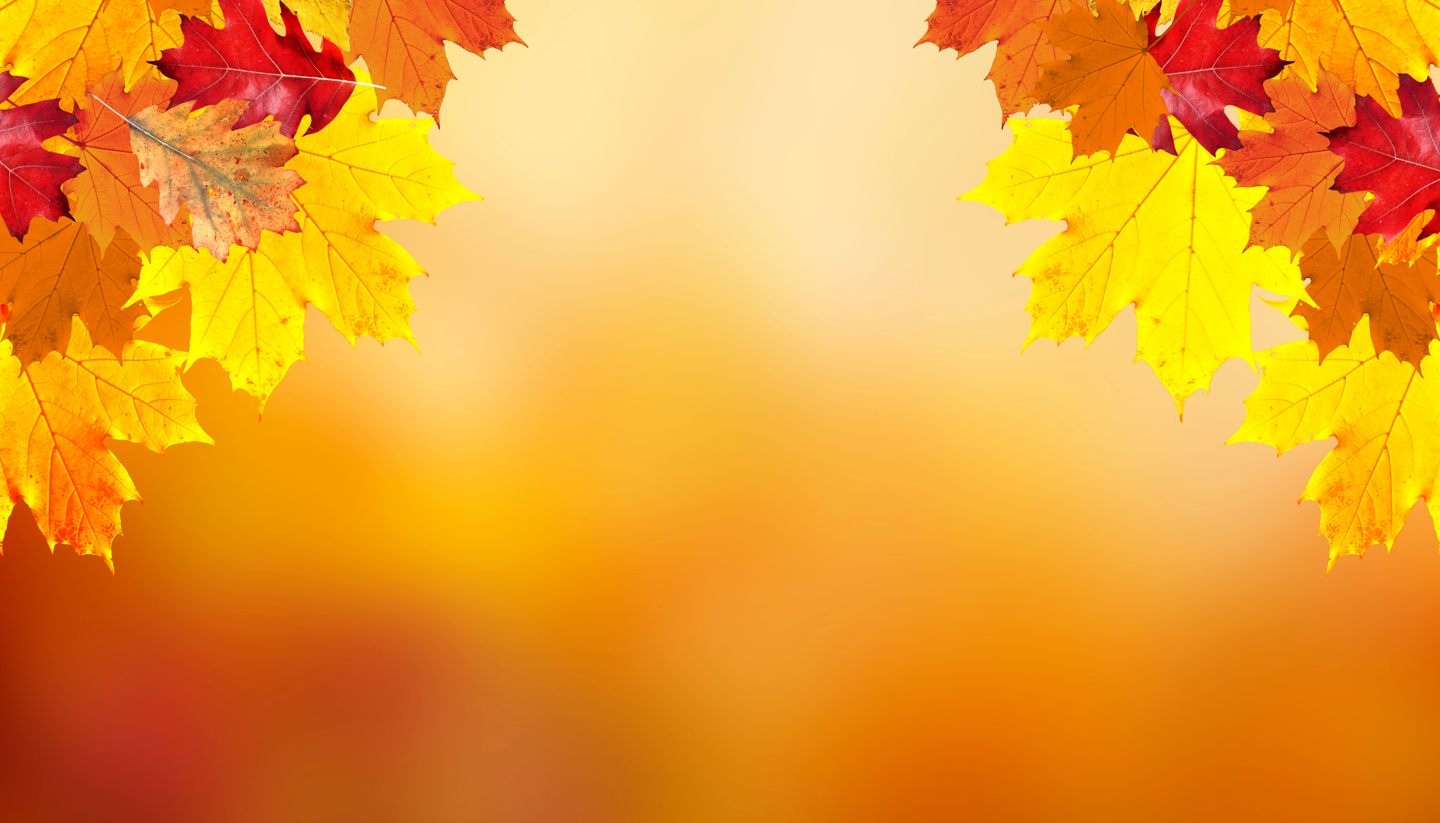 Image with missing alt attribute found on worldtravelguide.net