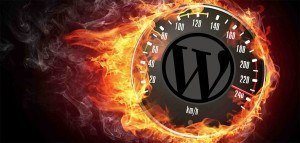 wordpress-speed