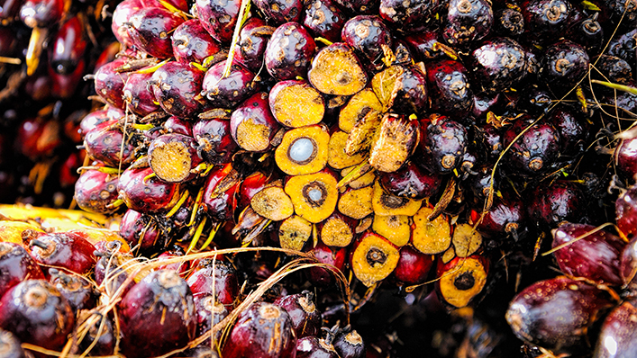 Image with missing alt attribute found on wto.org