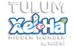 Image with missing alt attribute found on xcaretexpeditions.com