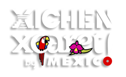 Image with missing alt attribute found on xcaretexpeditions.com