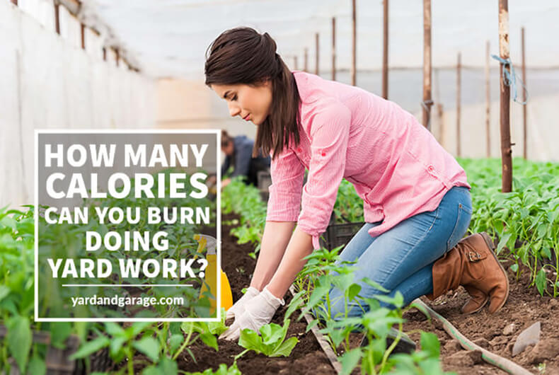 woman working in a garden