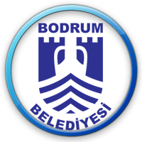 Image with missing alt attribute found on yayin.com.tr