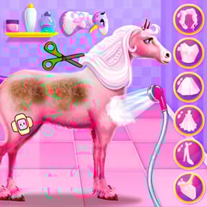 Princess Horse Caring