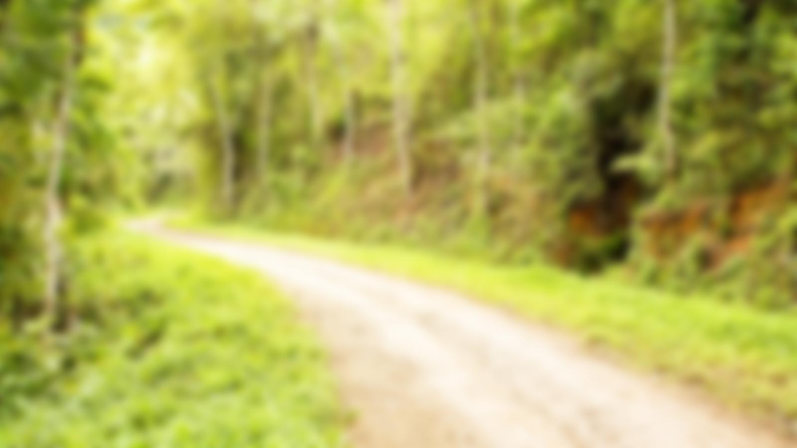 Image with missing alt attribute found on ynhh.org