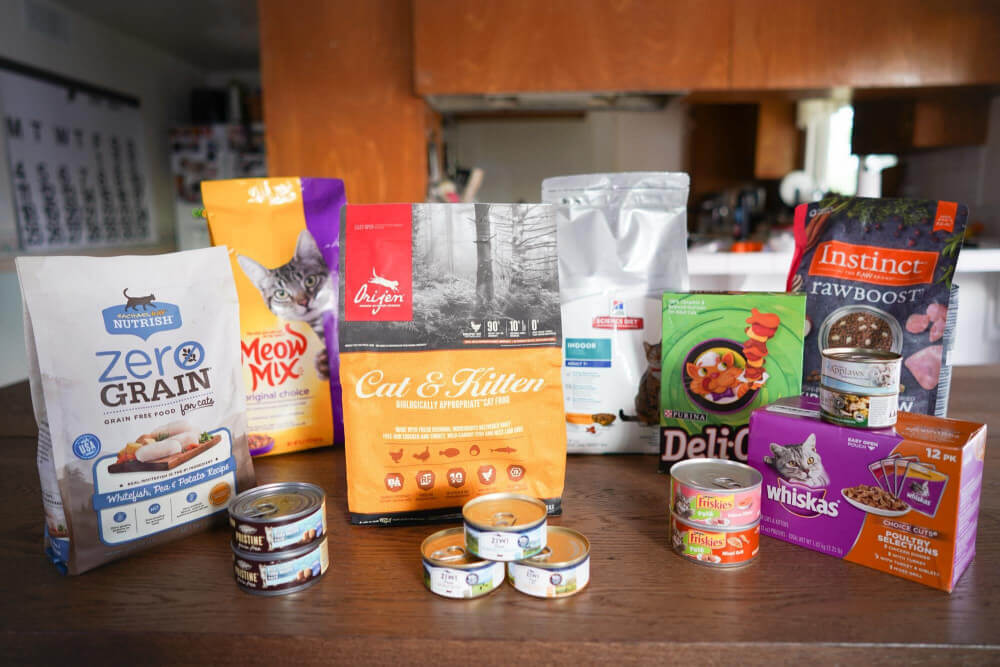 Image with missing alt attribute found on yourbestdigs.com