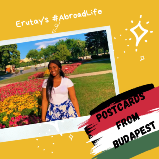 Image with missing alt attribute found on zikoko.com